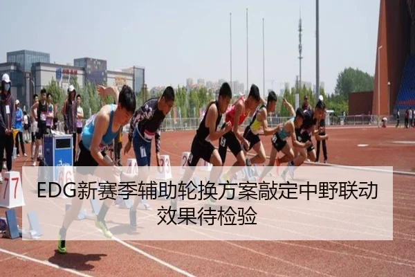 EDG新赛季辅助轮换方案敲定中野联动效果待检验 | leyu
